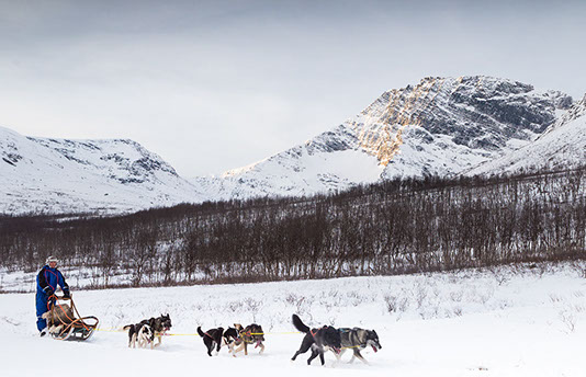 Running huskies in the mountains near Tromsø