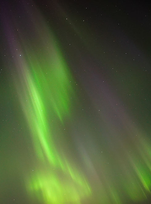 The northern lights dancing across the sky at the Aurora Husky camp
